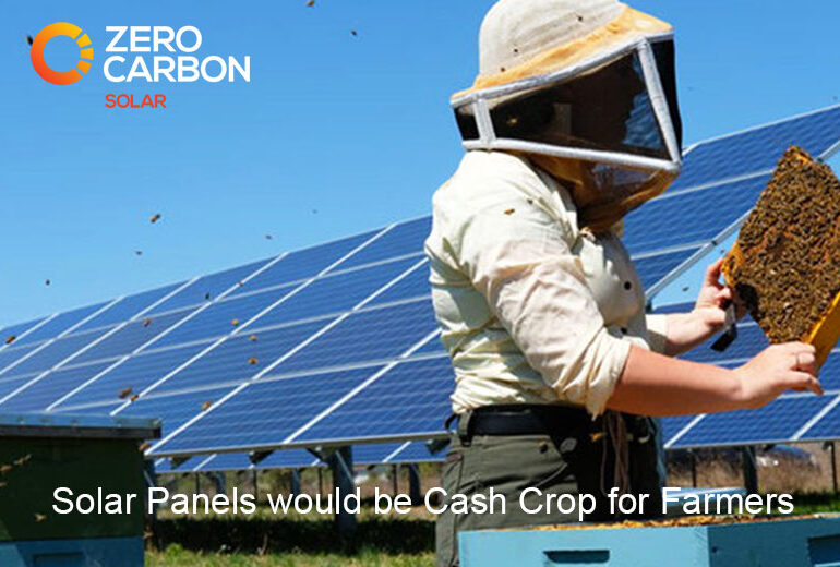 Solar panels would be cash crop for farmers
