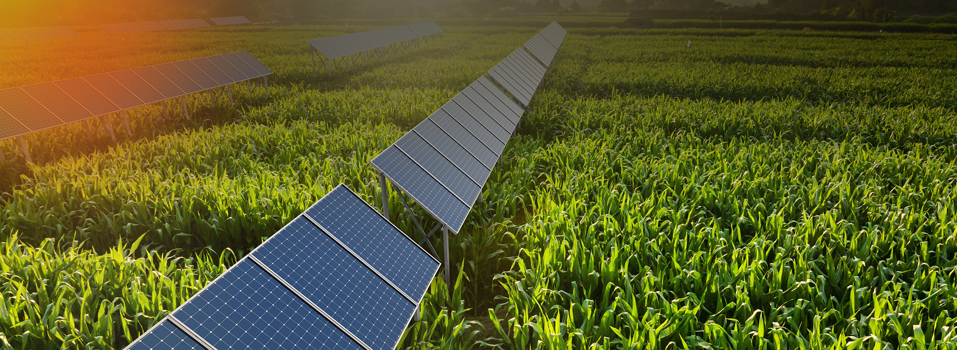 Agri-based Solar Solutions